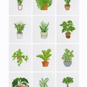 Exotic Plants - 12pcs