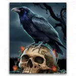 Crow Sitting on Skull