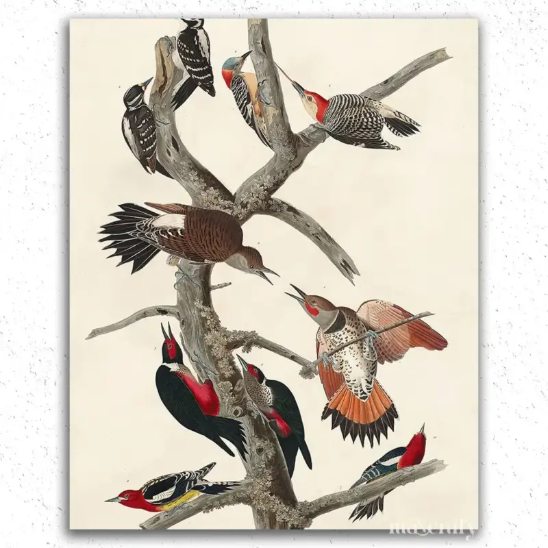 Birds on a Branch John James Audubon