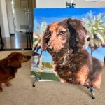 Custom Paint by Numbers Kit From Your Photo | Personalized photo review