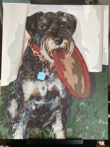 Custom Paint by Numbers Kit From Your Photo | Personalized photo review