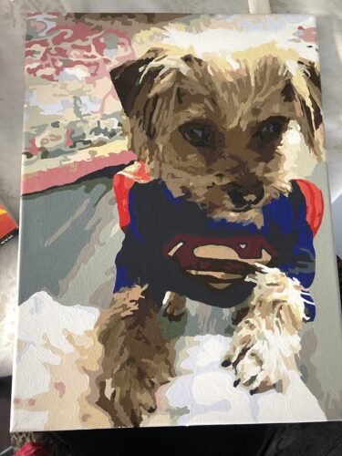 Custom Paint by Numbers Kit From Your Photo | Personalized photo review