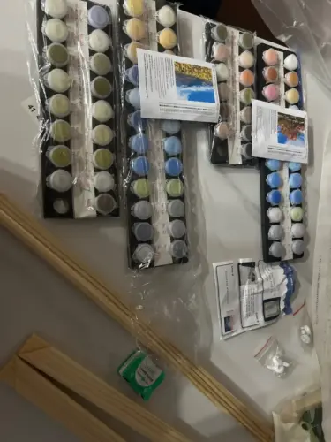 Custom Paint by Numbers Kit From Your Photo | Personalized photo review