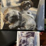 Custom Paint by Numbers Kit From Your Photo | Personalized photo review